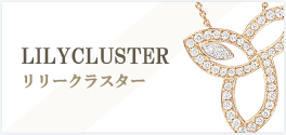 LILY CLUSTER（リリークラスター）